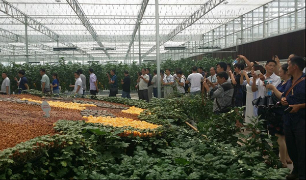 学员在泸州市江阳区国家现代农业示范区基地考察